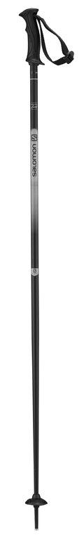 Salomon Northpole lady  cm, Lyžiarske palice, Velikosť: 110 cm odhadovaná cena: 24.95 EUR (€)
