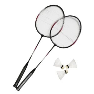Bedmintonový set MASTER Fly 2 odhadovaná cena: 8.1 EUR