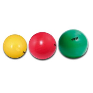 Gymnastická lopta SPARTAN priemer 55 cm – modrá odhadovaná cena: 9.6 EUR
